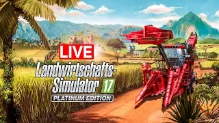 LS 17 PLATINUM EDITION: Zuckerrohrernte in Brasilien! Landwirtschafts-Simulator 17: Platinum Edition