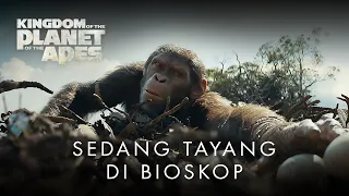 Kingdom of the Planet of the Apes | Cliff | In Cinemas Now