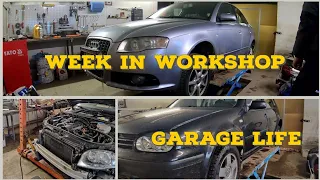 Audi A4 B7 week in workshop | Garage Life | Wolf Garage