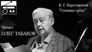 📻К. Г. Паустовский. "Степная гроза".