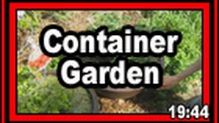 Container Garden - Wisconsin Garden Video Blog 603