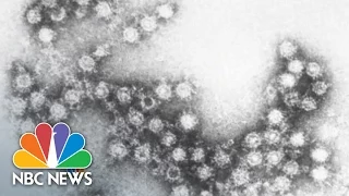 Enterovirus D-68: What You Need To Know | NBC News