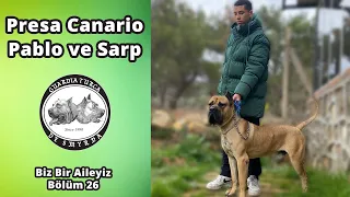 Presa Canario Pablo ve Sarp - Biz Bir Aileyiz Bölüm 26