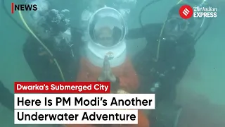 PM Modi Scuba Diving: PM Modi Dives Down In Arabian Sea To Pray at Dwarka's Submerged City Site