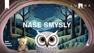 NAŠE SMYSLY 👀👂👃👅👐 - edukativní  audio pohádka na spaní pro děti (2024)