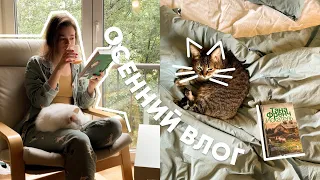 ПЕРВАЯ КНИГА ОСЕНИ 🍂🍁 самый УЮТНЫЙ ВЛОГ | чай, коты, одеяло и дождь