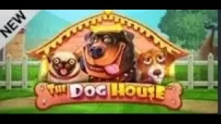 Slot Machine - The dog house