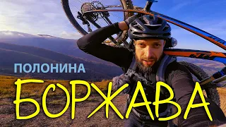 Боржава 2. Над ХМАРАМИ! Грибарі на Велосипедах! | КАРПАТИ НА ВЕЛОСИПЕДІ #5