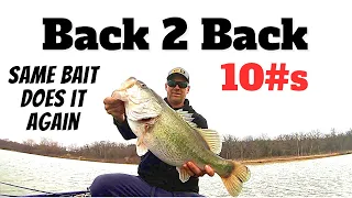 BACK 2 BACK 10#s (This bait keeps showing out)