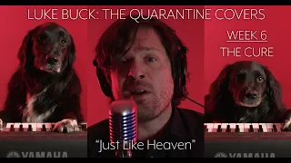 Luke Buck - Just Like Heaven (The Cure Cover)