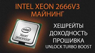 Процессор intel Xeon 2666v3 в майнинге RTM, XMR,DERO, AVN Прошивка unlock Turbo Boost