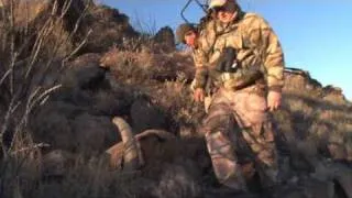 Texas Aoudad, Big Aoudad, 02 Ranch Jim & Alan, Feb. 2011