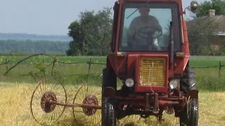 Грабарка перекидає сіно (ячмінь і люцерну)