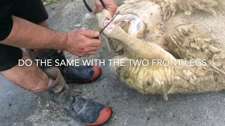 How to skin a sheep