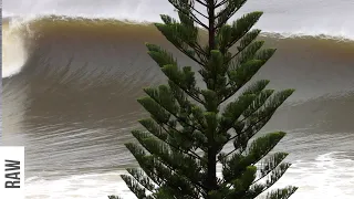 Solid and Sharky Northern Rivers