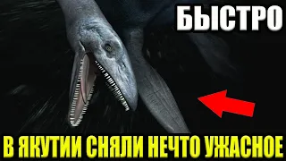 СКОЛЬКО ЕЩЕ ТЕРПЕТЬ !!! ПРОКЛЯТЫЙ НАРОД!!!