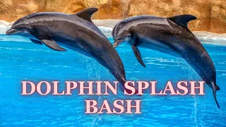 DOLPHIN SPLASH BASH | DOLPHIN WORLD ENGLISH SONG | THẾ GIỚI CÁ HEO | MUSIC FOR KIDS