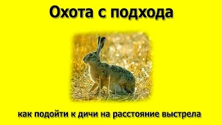 Охота с подхода. Как подойти к дичи на расстояние выстрела.