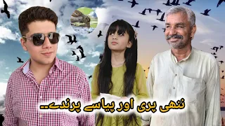 Nanhi Pari Or Pyasay Parinday  || Bahadur Bachi  || Humanity || Afridi Production ||