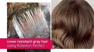 How to Cover Resistant Gray Hair Using Koleston Perfect | Wella Professionals