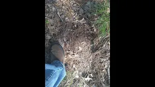 Sasquatch. Kiamichi Mountains trip. August 1, 2020. Part 3. Footprint Find and exploring the forest.