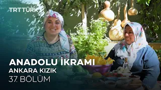 Anadolu İkramı | Sütlü Çorba, Peynirli Erişte, Kabak Çiçekli Kısır, Cacık | Ankara - 37. Bölüm