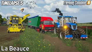 Selling Beets, grass silage w/ Vicon baler | Animals in La Beauce |Timelapse #5|Farming Simulator 19