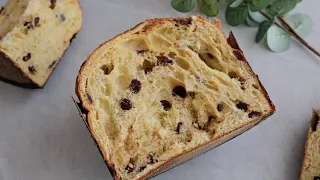 Sourdough Panettone with Chocolate 🤍