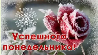 Успешного понедельника! Удачной недели! / Вдалого понеділка! / Have a nice week!