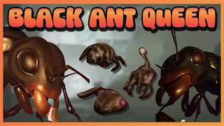 Grounded 1.4 Black Ant Queen REVEALED!