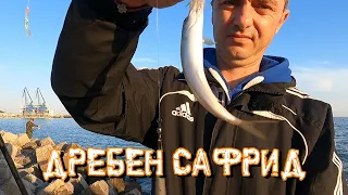 Дребен Сафрид (Граца)