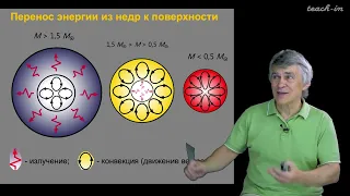 Астрономия 11 класс. Урок 25. Звезды. Формирование и эволюция.