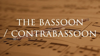 Instrument Series: The Bassoon  & Contrabassoon