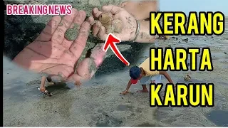 Pertualangan mencari kerang harta karun di pantai (ngeremis)