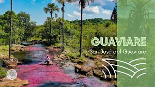 Guaviare: ¿vale la pena visitarlo?
