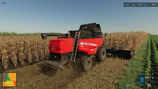 FS 22 Edgewater (Journey to 2,000 Cows) * 24 * New Corn Header, Harvesting Corn (Time-Lapse)