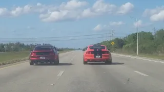 2015 Coyote Mustang Manual vs 2019 5.0 Automatic