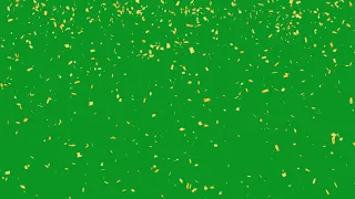 Golden confetti blast green screen video