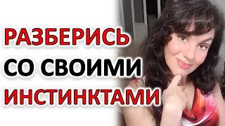 ИНСТИНКТЫ: ОНИ ЕСТЬ ИЛИ ИХ НЕТ? И КАК ИМИ УПРАВЛЯТЬ.