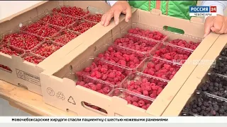 Ягодоводы Чувашии предложили нововведения