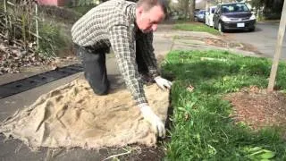 Root Barrier Installation