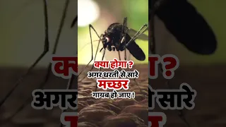 अगर धरती से सारे मच्छर गायब हो जाये तो क्या होगा ? #shorts #youtubeshorts #bigsoch #shortsvideo