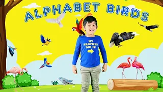 Learn Alphabet Birds with Bird Names for Toddlers & Kids | ABC Birds for Children | Alphabet Birds