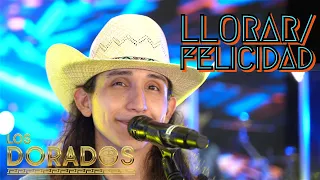 Los Dorados - Llorar/Felicidad (En Vivo)