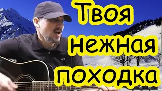 Тимур Муцураев - ТВОЯ НЕЖНАЯ ПОХОДКА