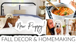Decorate with me, Fall Decor Haul, + a Cozy Day of Homemaking