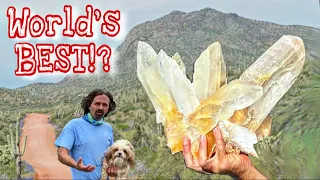 Digging Huge Golden Selenite Crystals to the MAX!