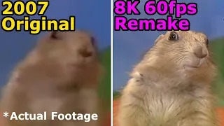 Dramatic Look/Overly Dramatic Chipmunk 8k 60fps AI Remake