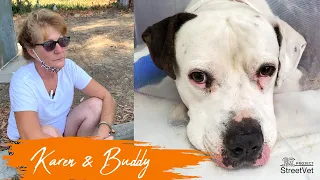 Project Street Vet: Karen & Buddy Story