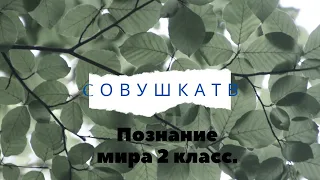 Познание мира. Окружающий мир. Рельеф. Значение природных условий в жизни человека.